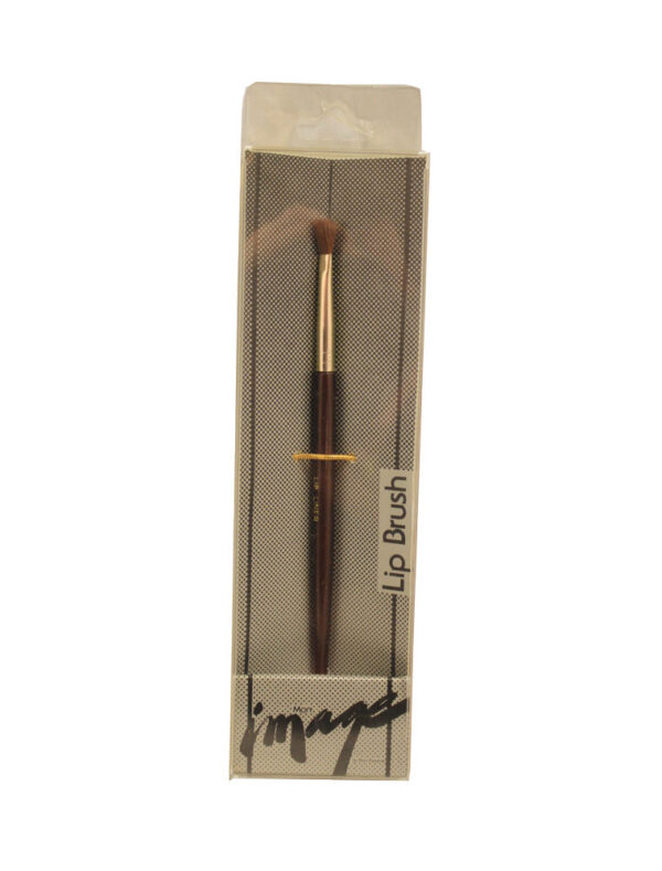 Image Lip Brush