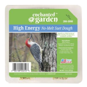 Enchanted Garden™ High Energy No-Melt Bird Suet Dough - 11 oz