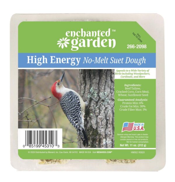 Enchanted Garden™ High Energy No-Melt Bird Suet Dough - 11 oz